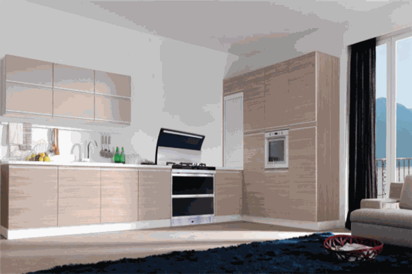 圣依兰集成环保灶